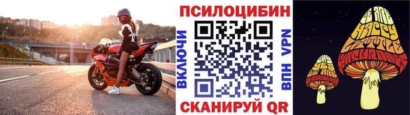 Купить  Керчь  Псилоцибиновые грибы Psilocybe 